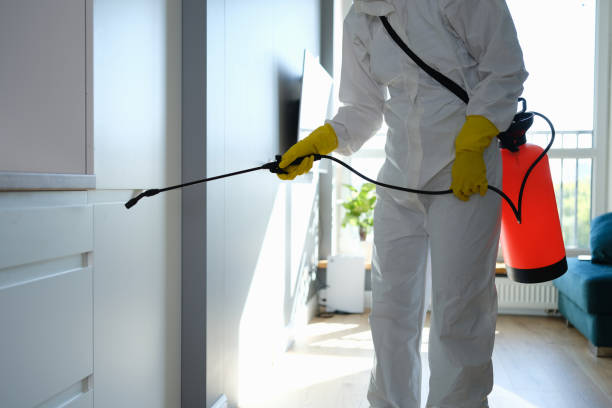 Best Emergency Mold Remediation in Colesville, MD
