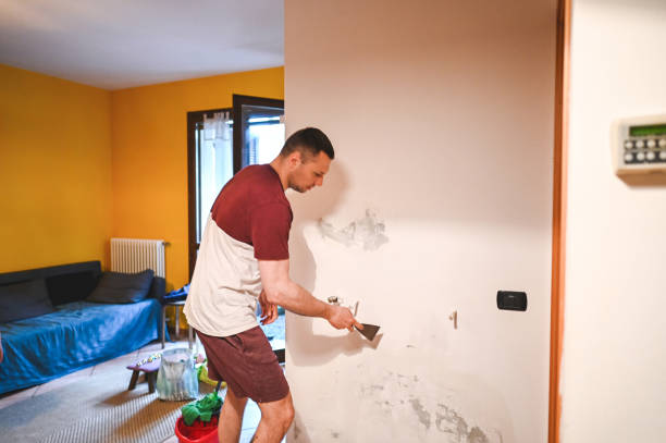 Best Mold Testing and Inspection Services in Colesville, MD